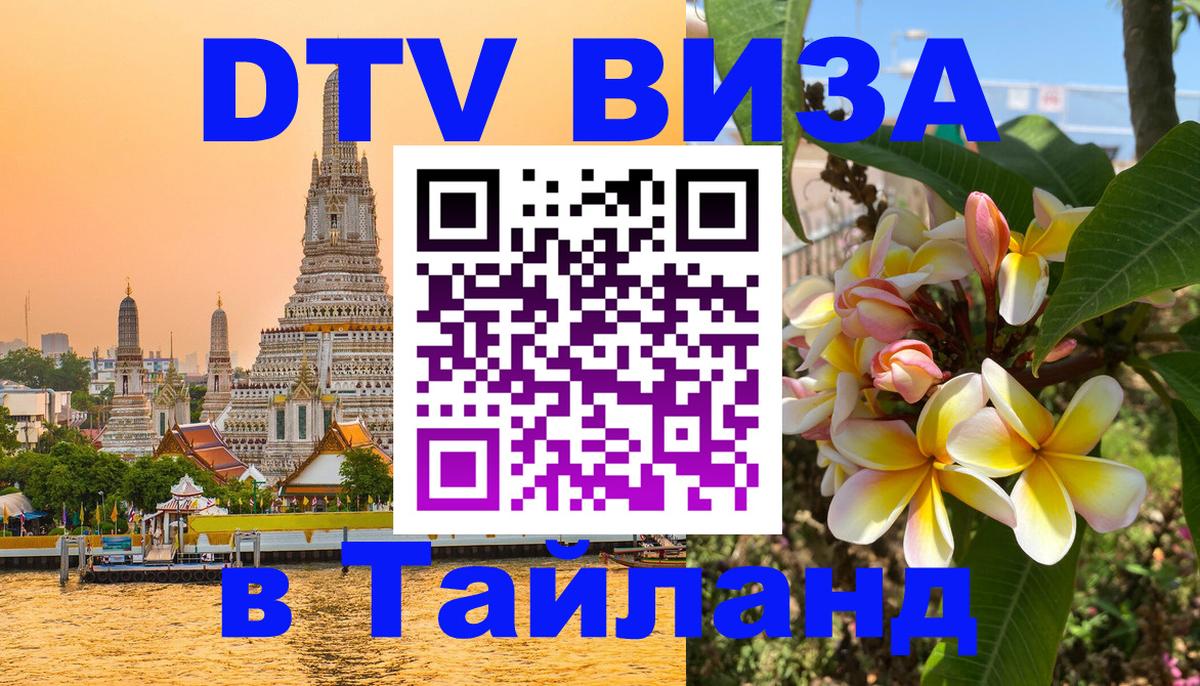 Оформление DTV визы под ключ: стоимость и тарифы, только загранпаспорт - Барнаул 